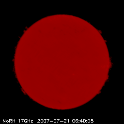 Nobeyama Radioheliograph Real Time Image 
